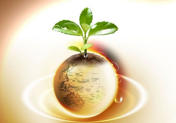 金价震荡显韧性：美国CPI数据掀避险资产博弈